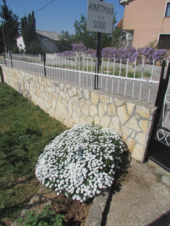 Apartments Jasen Maslenica Εξωτερικό φωτογραφία